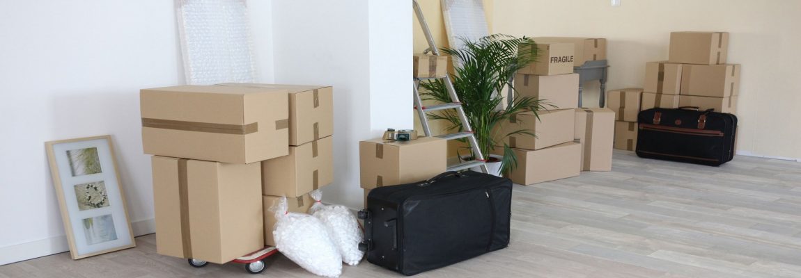 Are you looking for movers? #housemoving #officemoving #shop moving. #county to county relocation? Your such as come to un end. Choose white gazel movers, a registered professional moving company that guarantees the safety of your belongings.Get in touch with us for all-inclusive seamless transitions. 0799 989260 www.whitegazelmoverskenya.co.ke info@whitegazelmoverskenya.co.ke slide1 1150x400